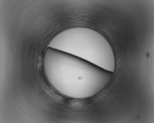X0000116370077200912021019