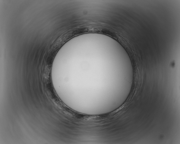 X0000116370078200912021019