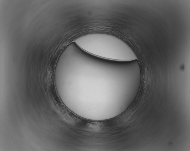 X0000116370079200912021020