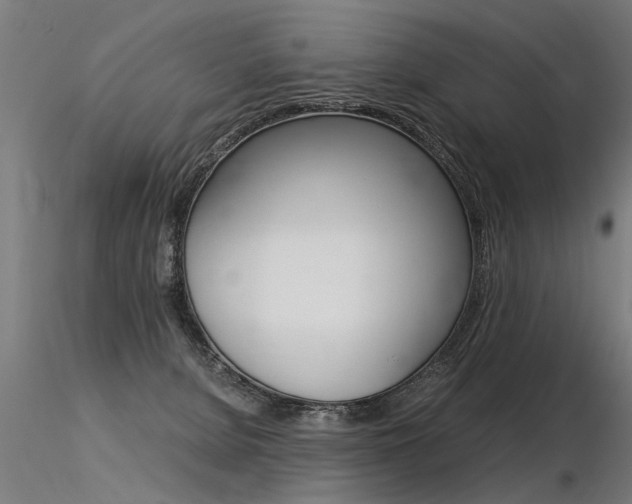 X0000116370080200912021020