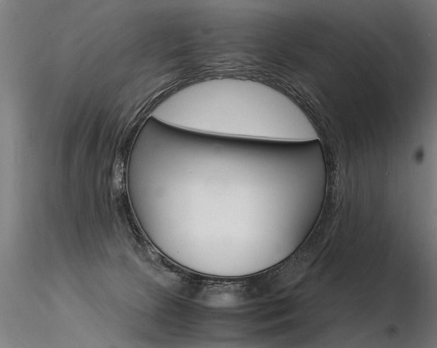 X0000116370081200912021020
