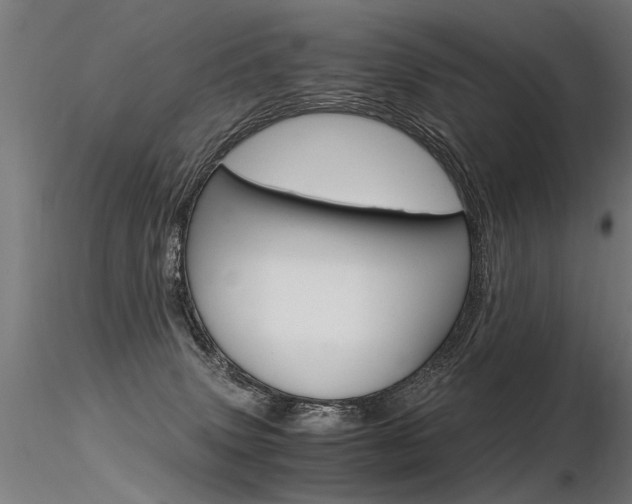 X0000116370083200912021020