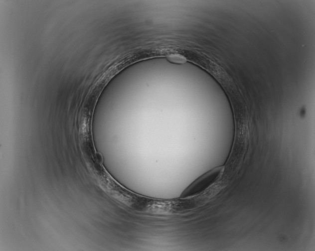 X0000116370084200912021020