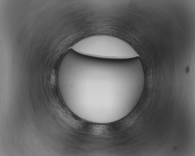 X0000116370085200912021020