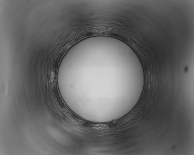 X0000116370087200912021020