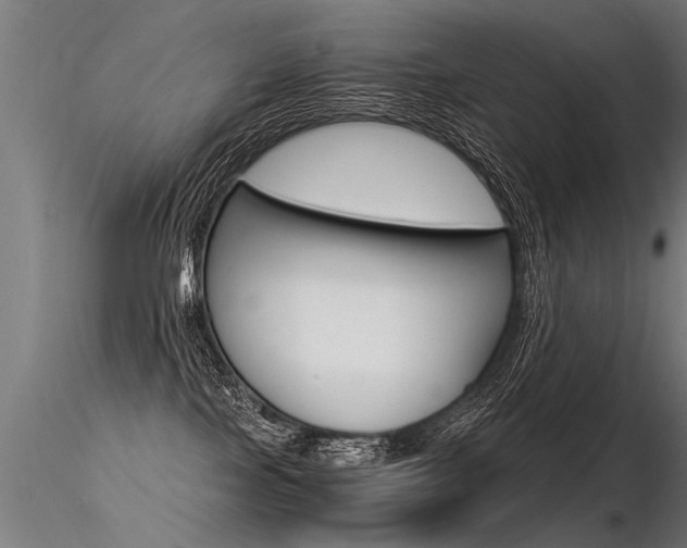X0000116370089200912021020