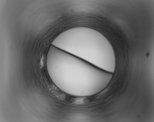 X0000116370090200912021020