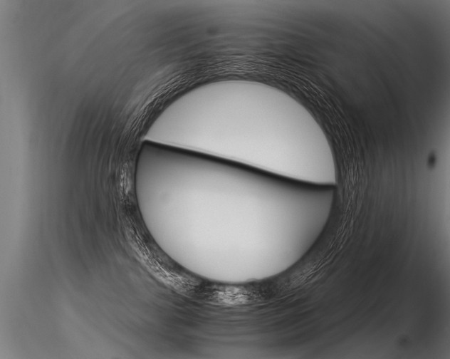 X0000116370091200912021020