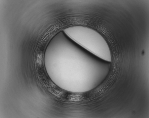 X0000116370093200912021020
