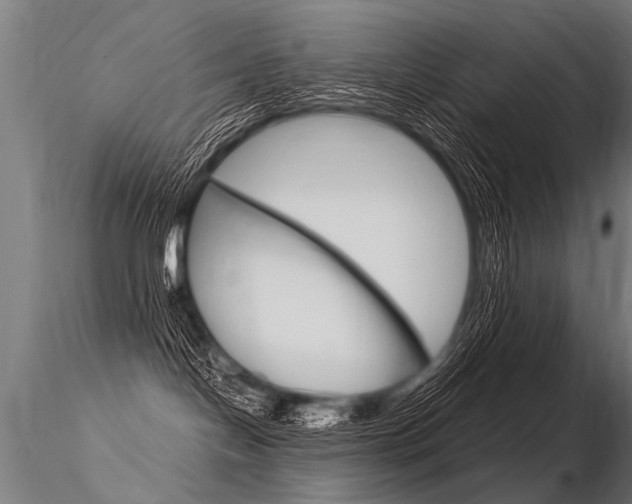 X0000116370094200912021020