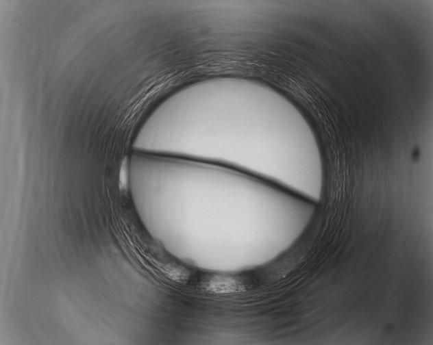 X0000116370095200912021020