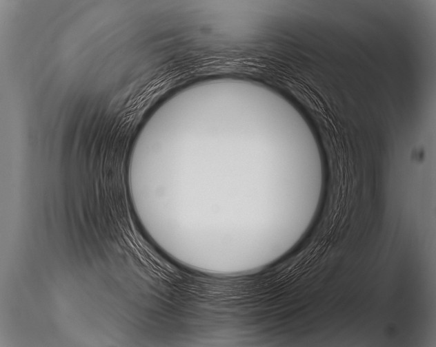 X0000116370096200912021020
