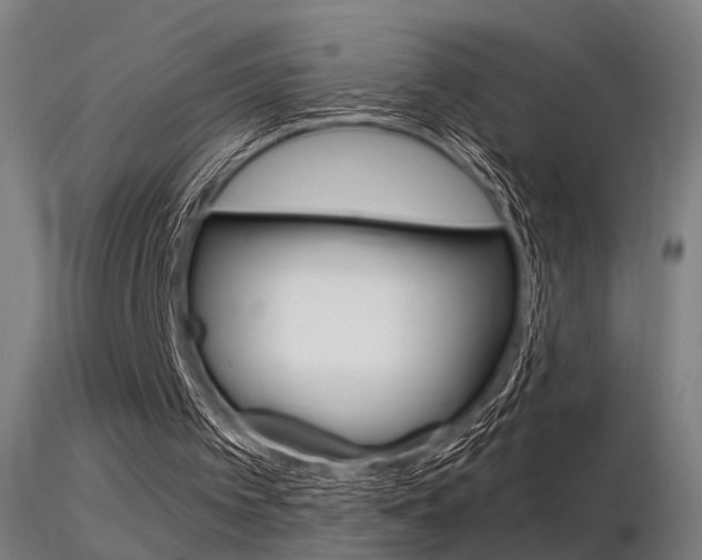 X0000116370097200912021019