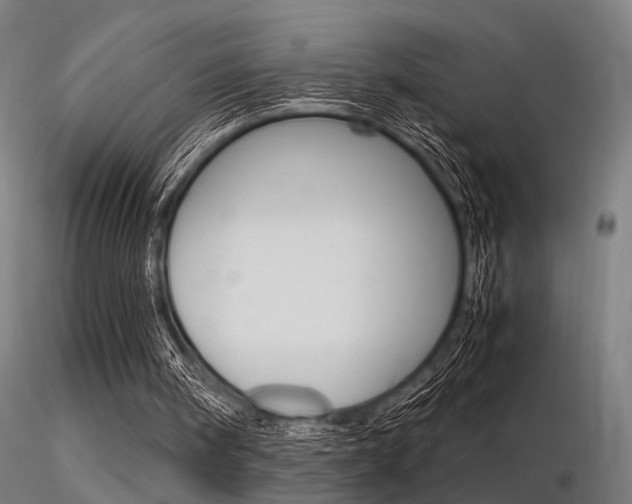 X0000116370098200912021019