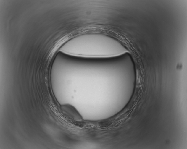 X0000116370099200912021019