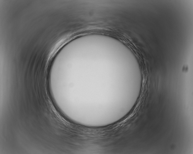 X0000116370101200912021019