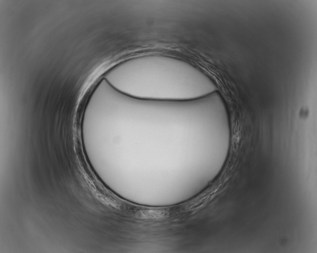 X0000116370102200912021019
