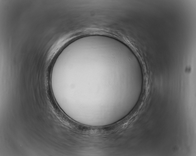 X0000116370103200912021019