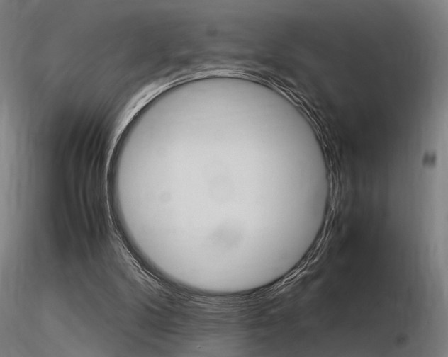 X0000116370104200912021019
