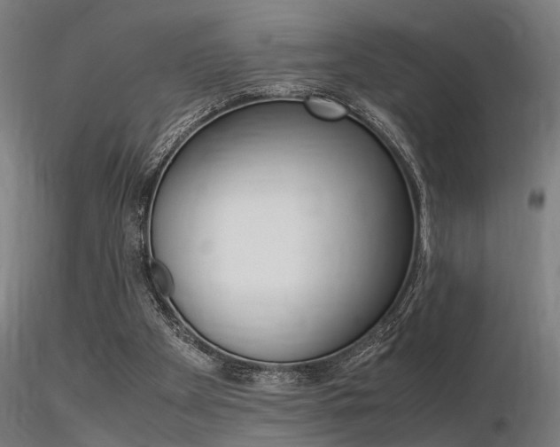 X0000116370105200912021019