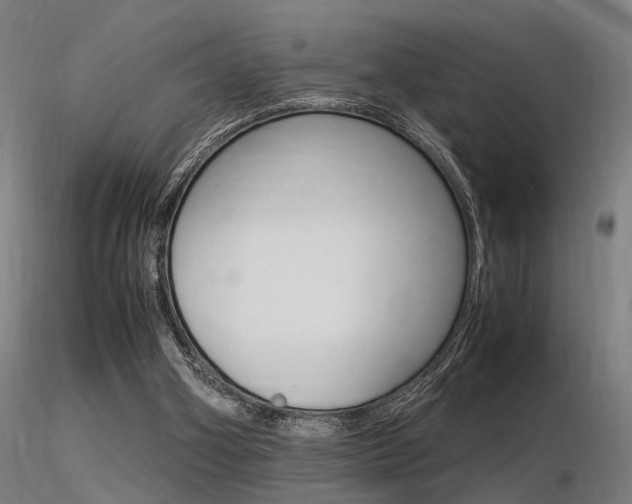 X0000116370106200912021019