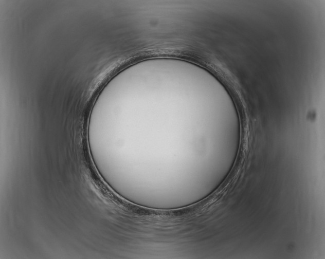 X0000116370107200912021019