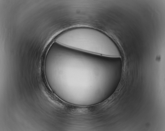 X0000116370108200912021019