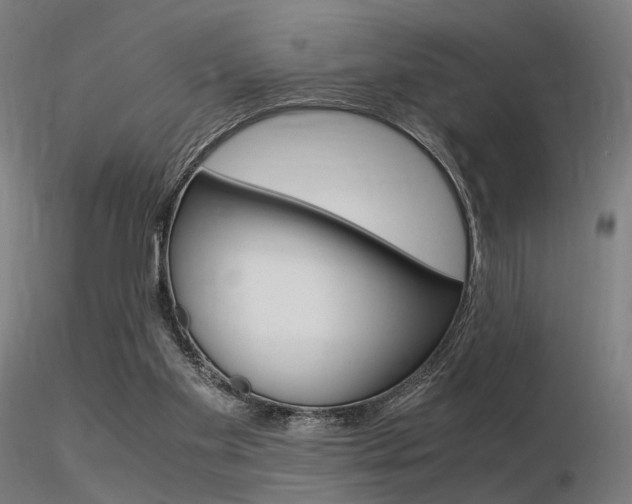 X0000116370109200912021019