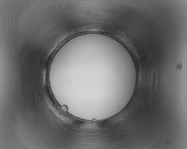 X0000116370110200912021019