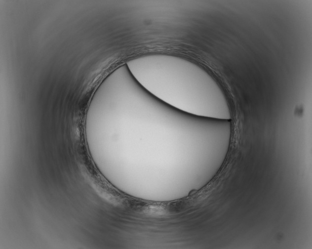 X0000116370114200912021019