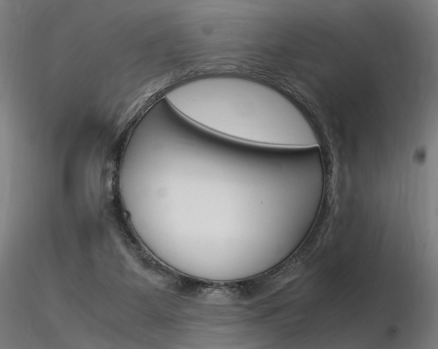 X0000116370115200912021019