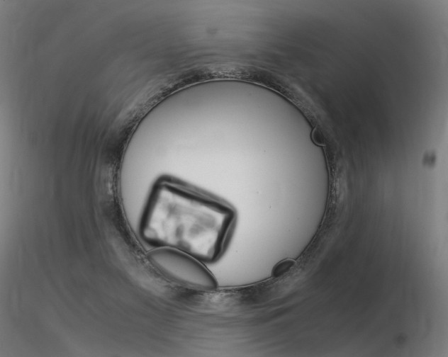X0000116370117200912021019