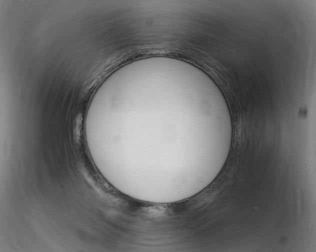 X0000116370118200912021019