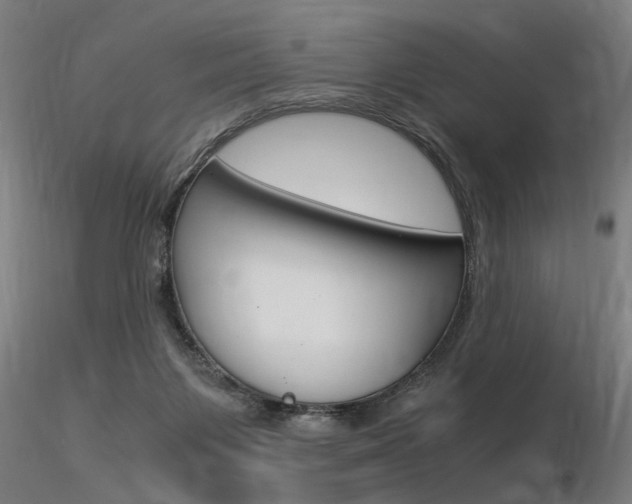 X0000116370119200912021019