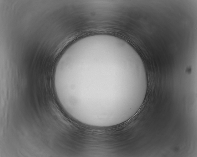 X0000116370120200912021019