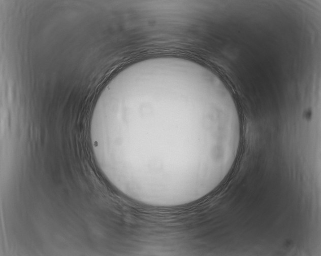 X0000116370121200912021019
