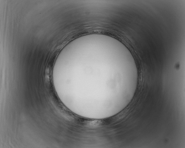 X0000116370122200912021019
