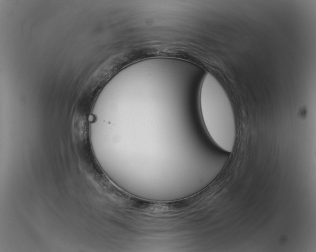 X0000116370123200912021019