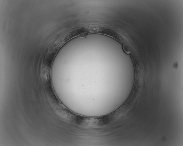 X0000116370125200912021019