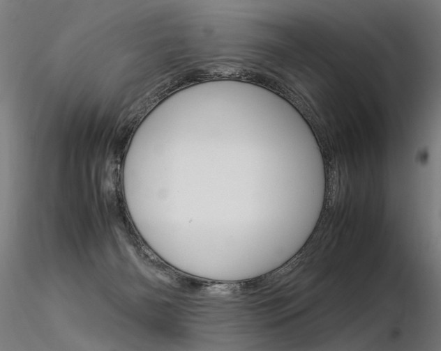 X0000116370126200912021019