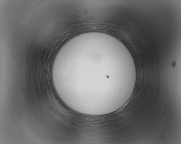 X0000116370128200912021019