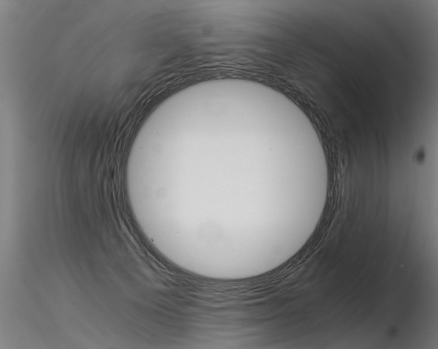 X0000116370129200912021019
