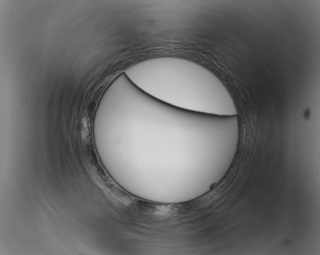 X0000116370130200912021019