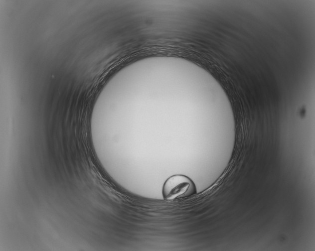 X0000116370132200912021019