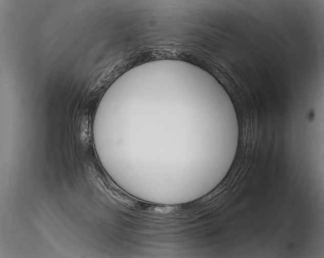 X0000116370134200912021019