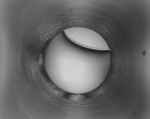 X0000116370135200912021019