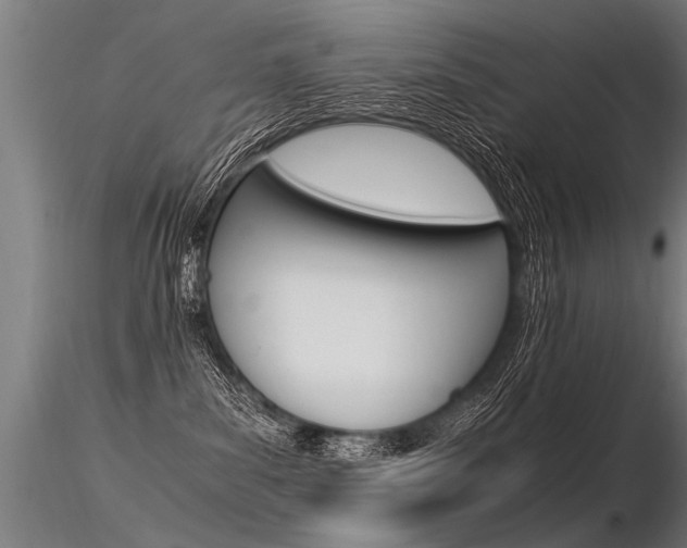 X0000116370139200912021018