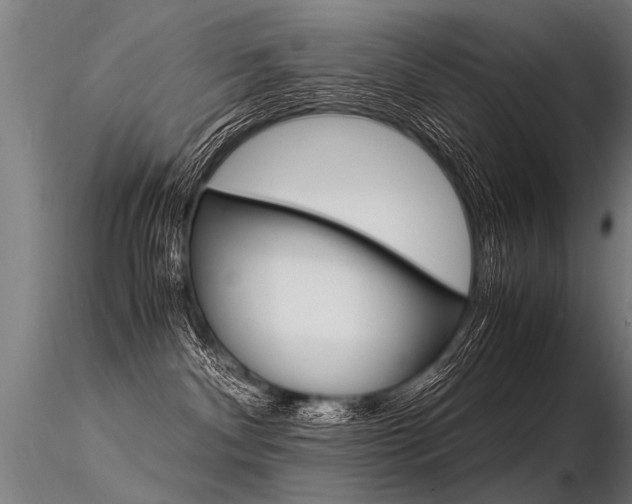 X0000116370140200912021018