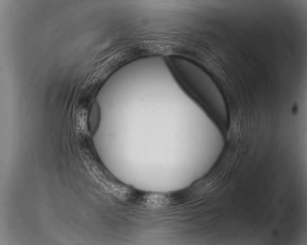 X0000116370141200912021018