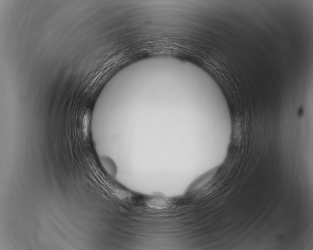 X0000116370142200912021018